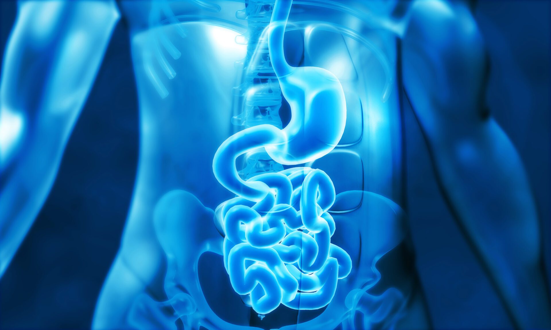 Human,Digestive,System,In,Blue,Color.,3d,Illustration A medical office featuring a chair positioned near a window, creating a bright and inviting atmosphere for patients.